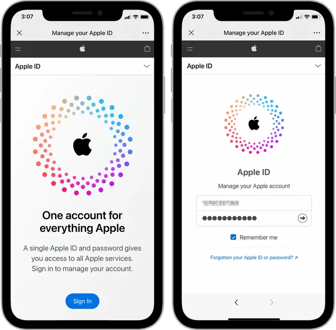 登录 Apple ID
